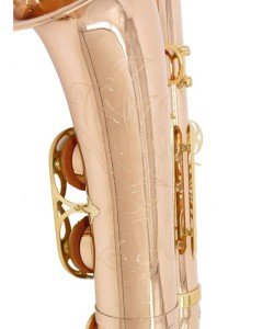 EARLYNN Saxophone Ténor...