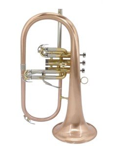 EARLYNN Bugle Cuivre rosé...