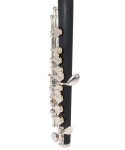 EARLYNN Flûte Piccolo