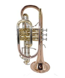 EARLYNN Cornet Cuivre Rosé Sib