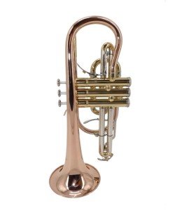 EARLYNN Cornet Cuivre Rosé Sib